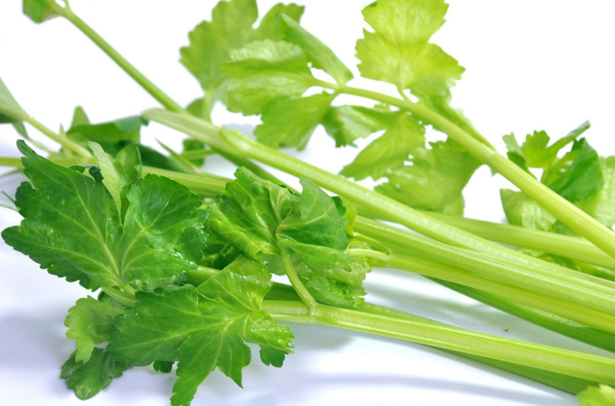 蔬菜是個寶，這些部位也更好！