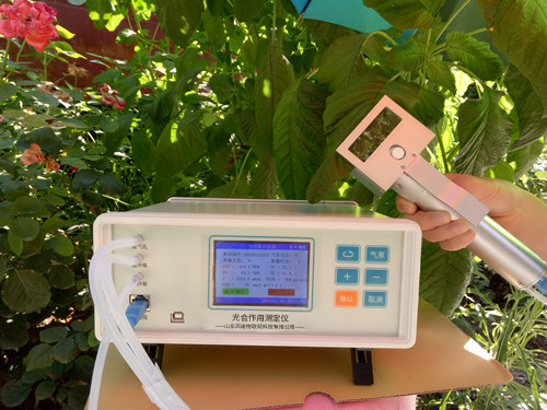 植物氣孔針有何應(yīng)用？