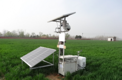  如何捕捉記錄菌類孢子