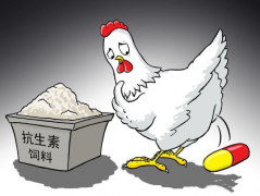 食品抗生素層出不窮，如何檢測(cè)？